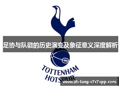 足协与队徽的历史演变及象征意义深度解析