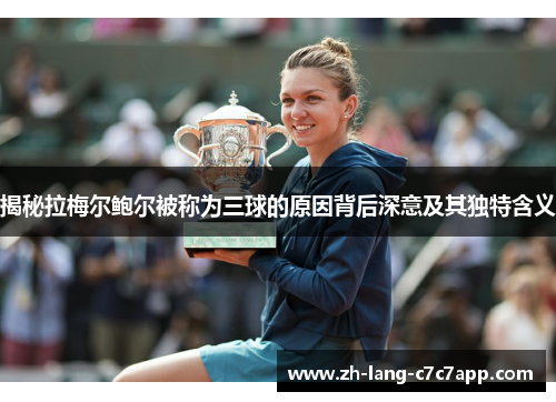 揭秘拉梅尔鲍尔被称为三球的原因背后深意及其独特含义